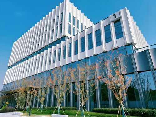 京东方成都智慧系统创新中心圆满竣工，赋能蓉城智慧产业发展